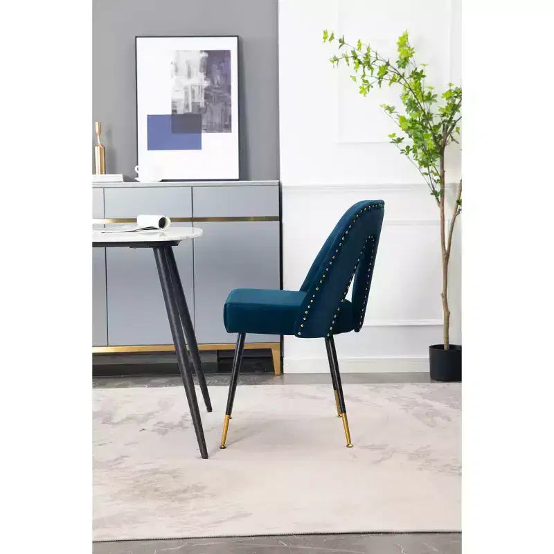 Sedia da pranzo moderna in velluto – Sedia da cucina e sala da pranzo imbottita contemporanea