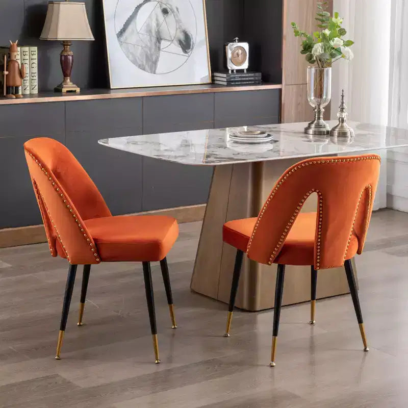 Sedia da pranzo moderna in velluto – Sedia da cucina e sala da pranzo imbottita contemporanea