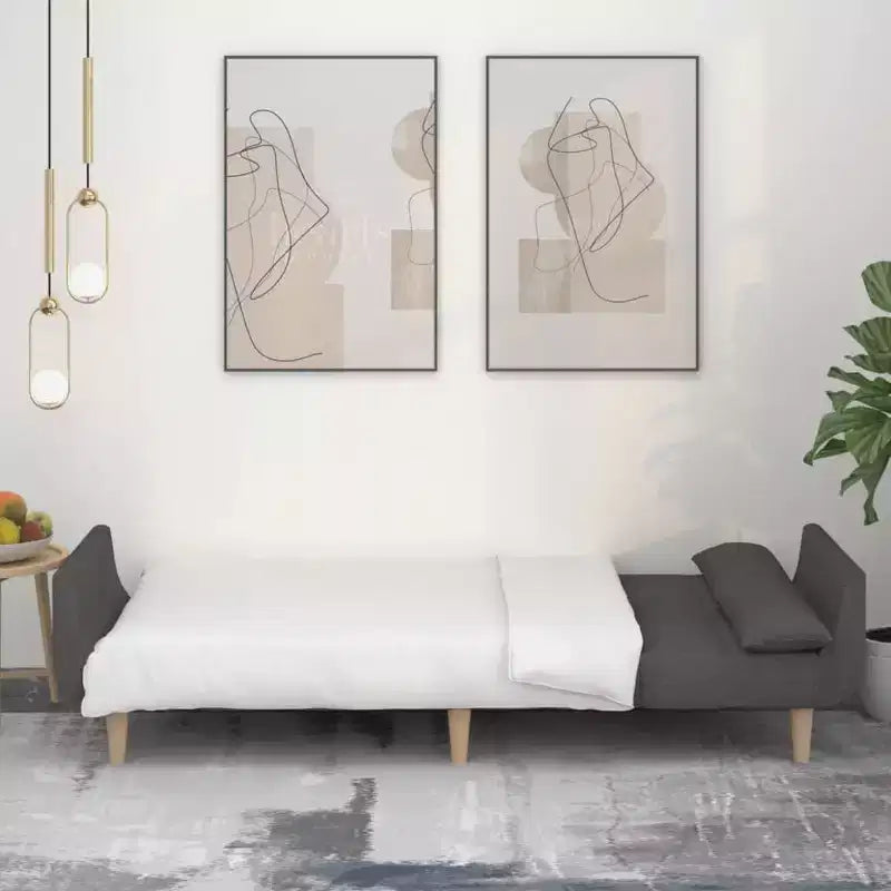 Divano Letto 2 Posti in Tessuto con Due Cuscini – Divano Letto Pieghevole Nero, Design Salvaspazio