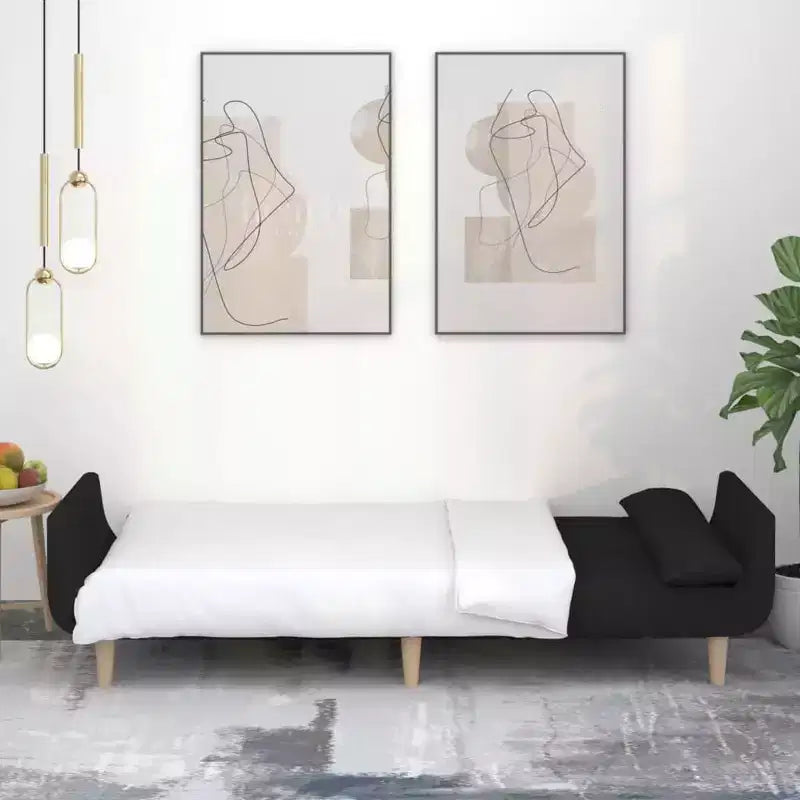 Divano Letto 2 Posti in Tessuto con Due Cuscini – Divano Letto Pieghevole Nero, Design Salvaspazio